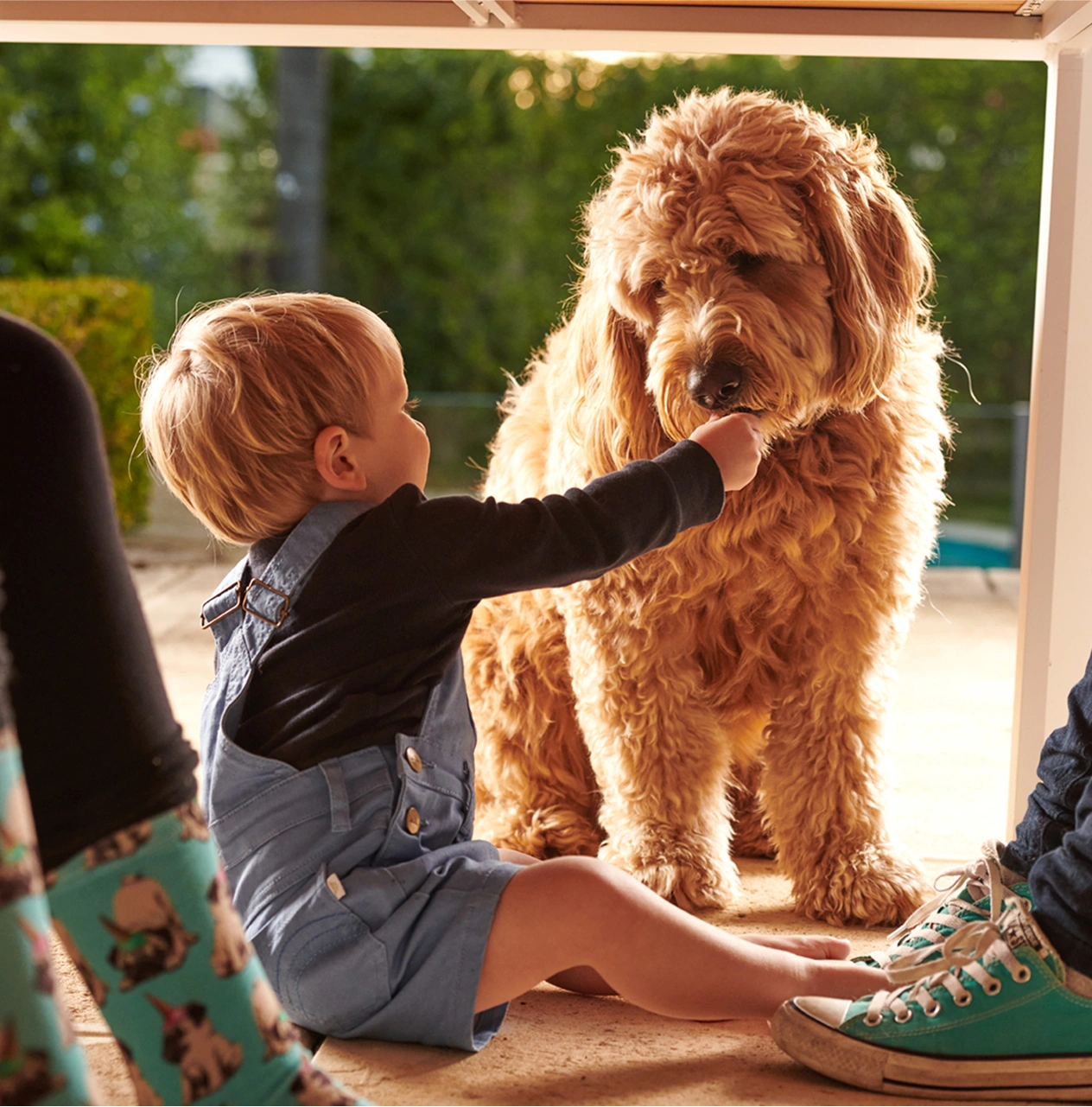 Comprehensive cover on products and install