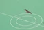 https://media.umbraco.io/lawdebenture/wj1oymyb/alex-ashby-environmental-birds-of-play.jpg?height=675&width=1335&mode=crop&upscale=true&format=jpg¢er=0.4012%2C0.6048&quality=100