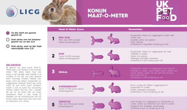 Zo weet je of jouw dier goed op gewicht is!
