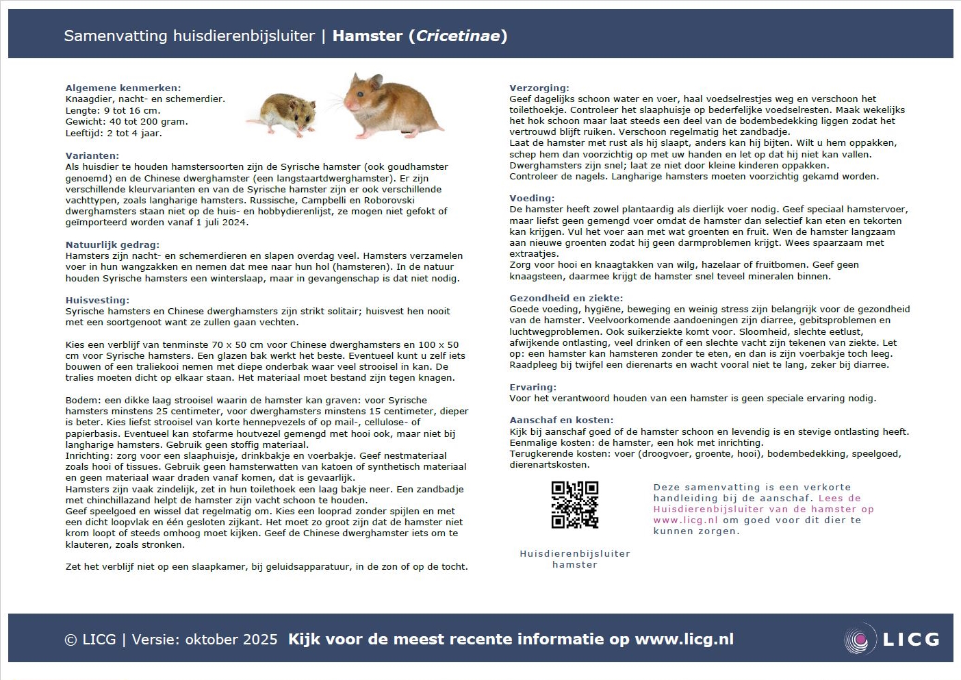 Hamster samenvatting, 10 stuks