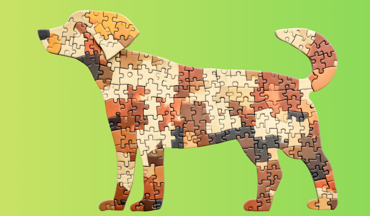 Welke hond past bij mij?