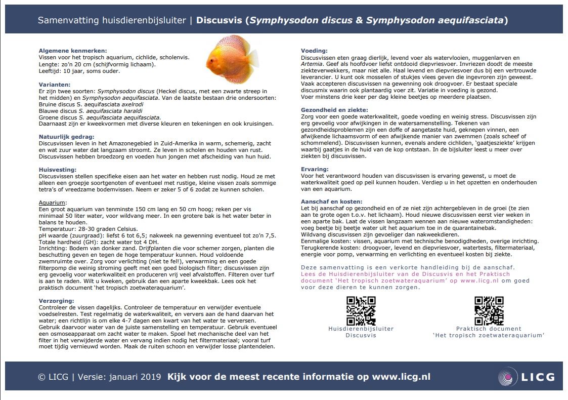 Discusvis samenvatting, 10 stuks