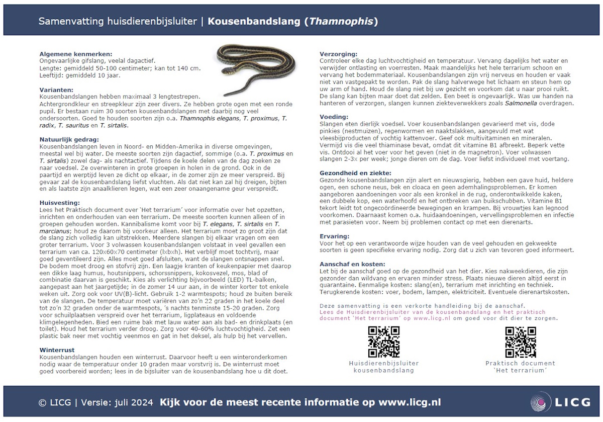 Kousenbandslang samenvatting, 10 stuks
