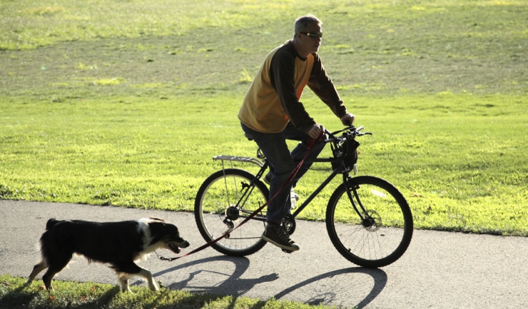 Fietsen met de hond
