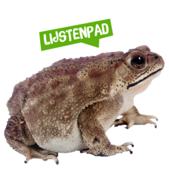 Spreekbeurt lijstenpad