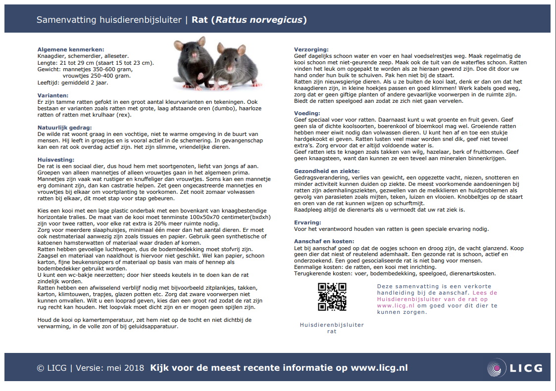 Rat samenvatting, 10 stuks