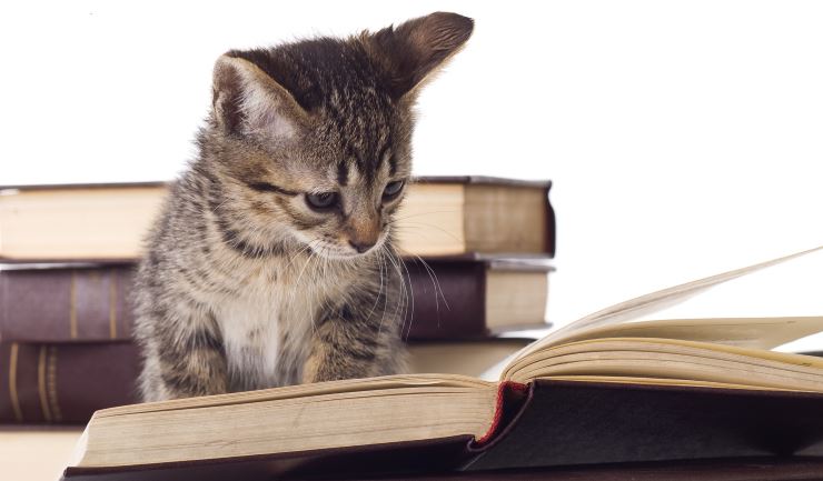 Kennis en educatie