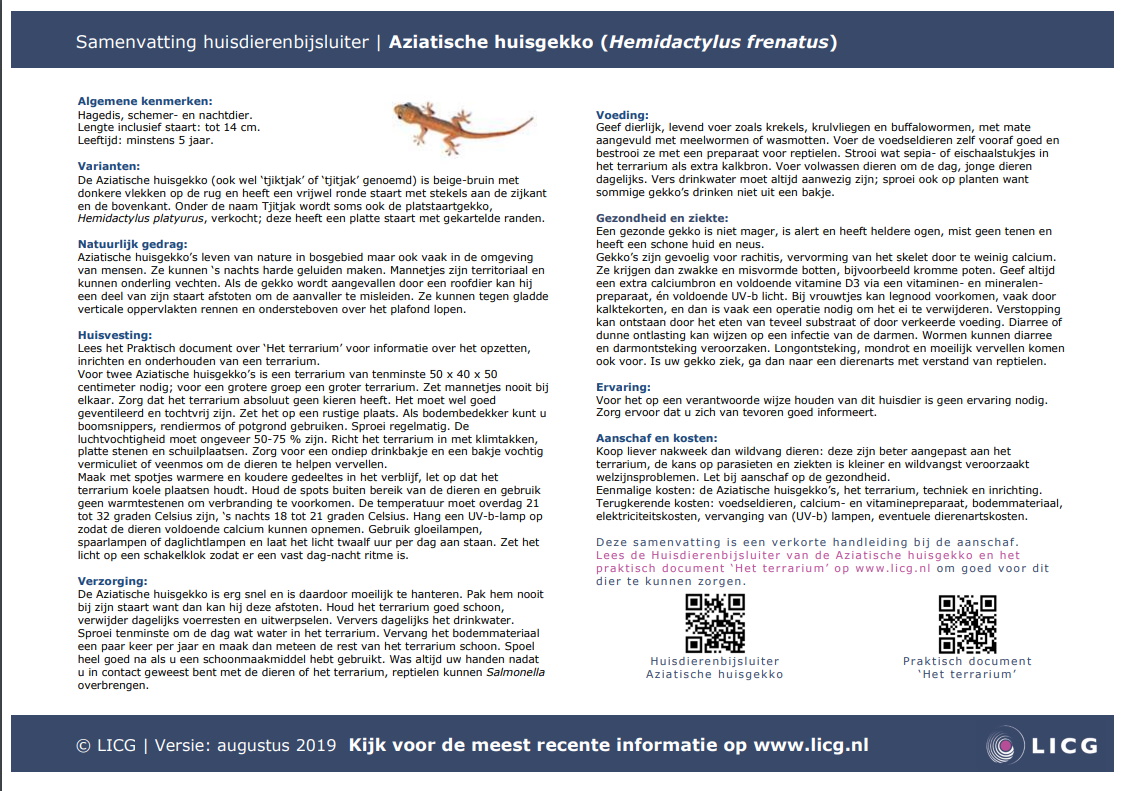 Aziatische huisgekko samenvatting, 10 stuks