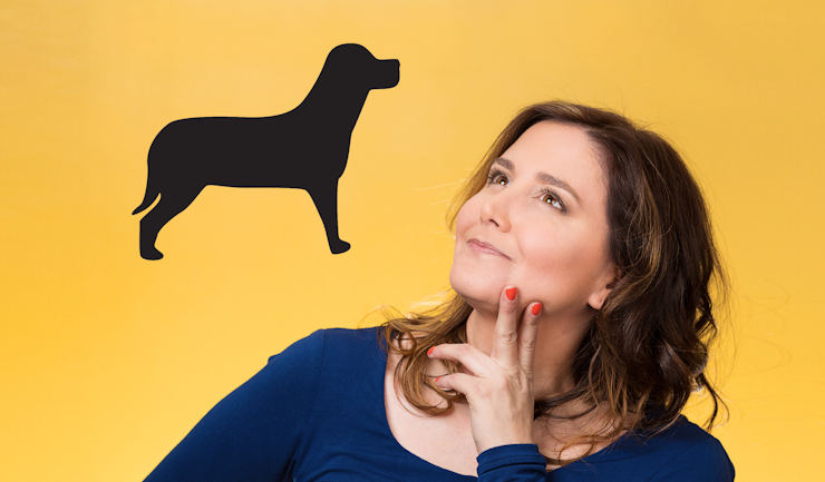 Is een hond echt iets voor mij?