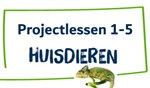 Handleiding projectlessen 1 t/m 5