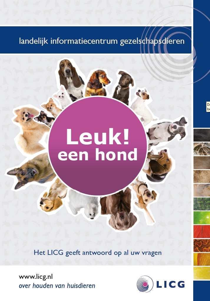 50 folders Leuk een hond