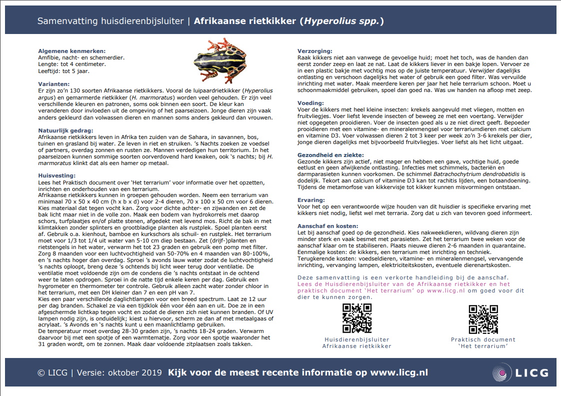 Afrikaanse rietkikker samenvatting, 10 stuks