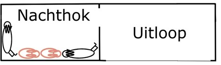 Schematisch voorbeeld nachthok met uitloop