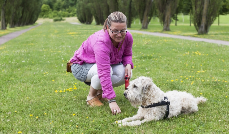 Gedragstherapie voor de hond