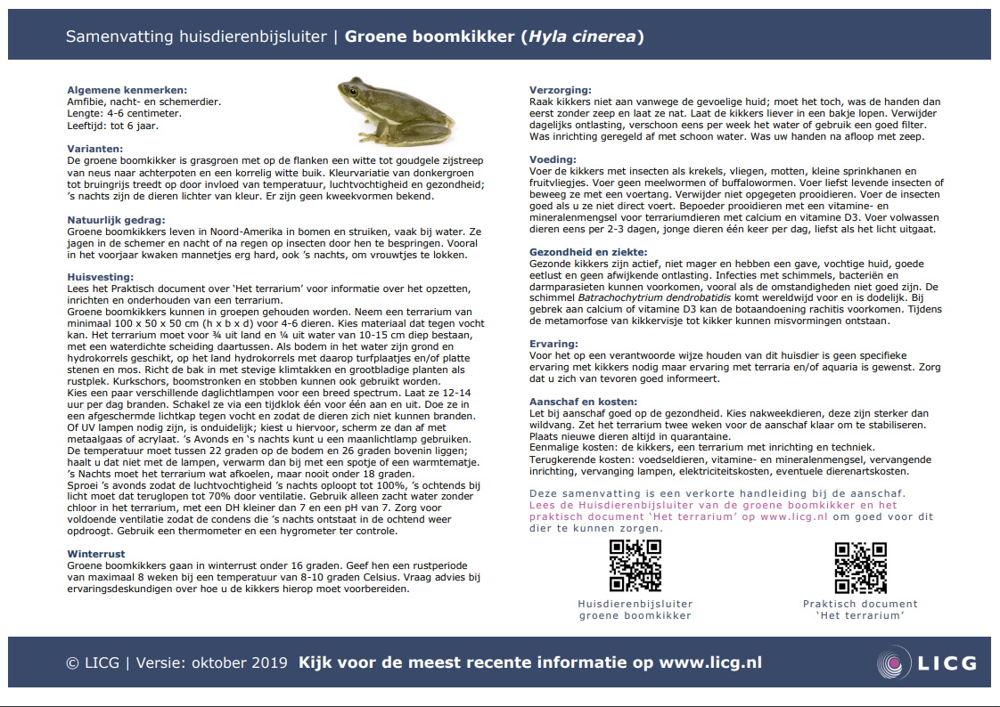 Groene boomkikker samenvatting, 10 stuks