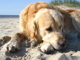 Seniorencheck? Doen!