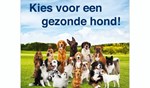 Hang de gratis poster op