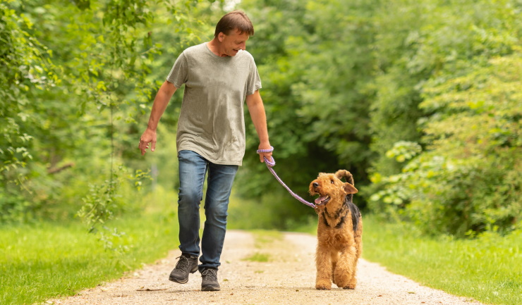 Oproep Vogelbescherming: honden aan de lijn