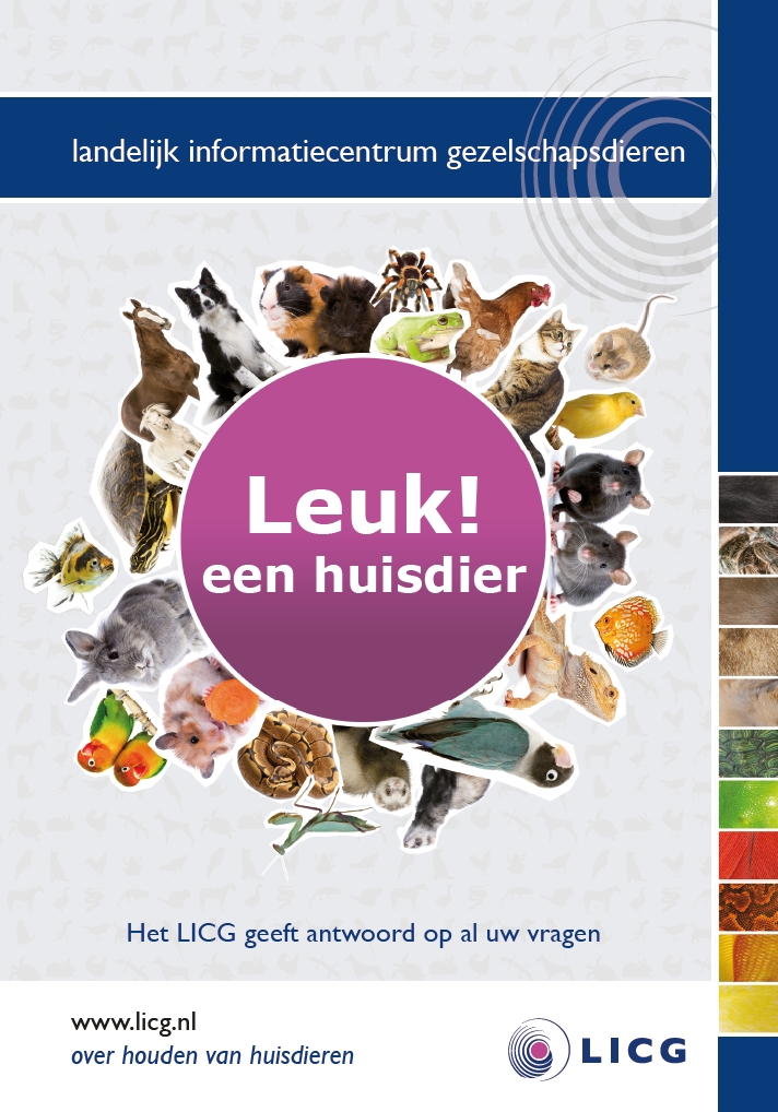 50 folders Leuk een huisdier
