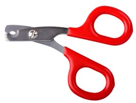 Nagelschaartje voor konijnen