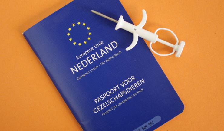 Chippen en registreren