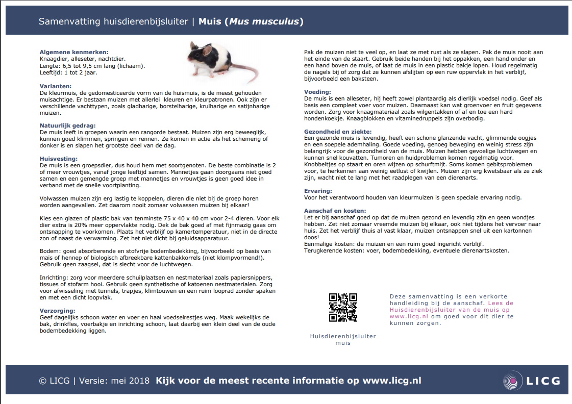 Muis samenvatting, 10 stuks