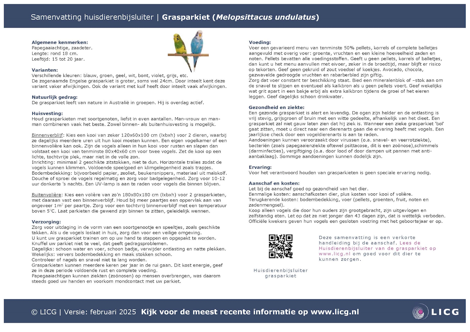 Grasparkiet samenvatting, 10 stuks