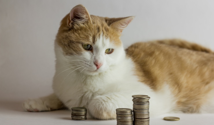Dierenhulpverlening voor minima