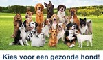 Download banners (diverse formaten)