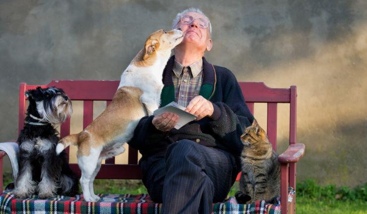 Honden- en katteneigenaren gezocht voor deelname aan onderzoek