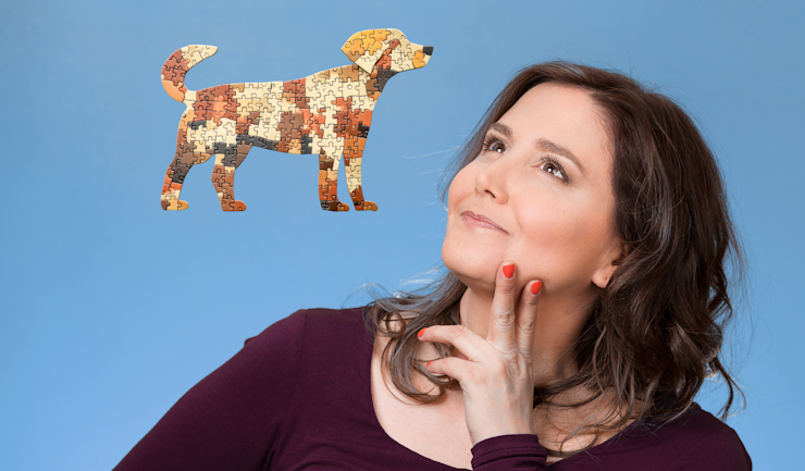 Wil je een hond? Het LICG helpt bij een goede keuze!