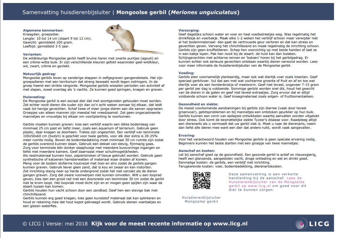 Mongoolse gerbil samenvatting, 10 stuks