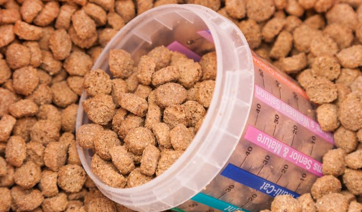Voeding van uw kat - Normen en hoeveelheid