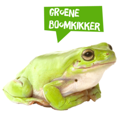 Spreekbeurt groene boomkikker