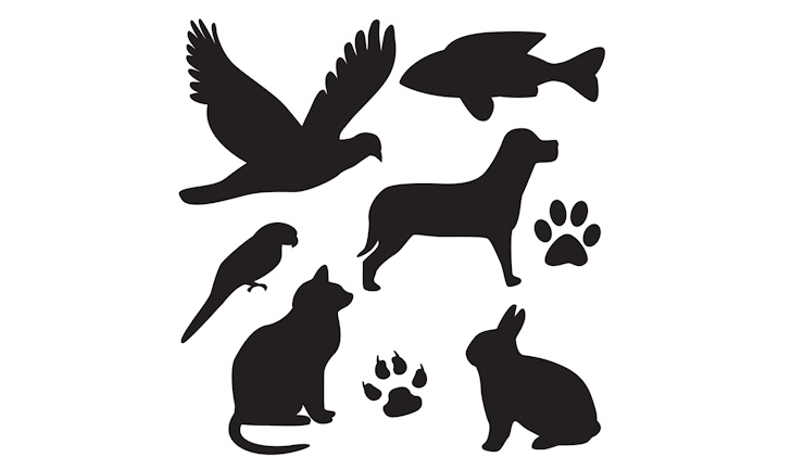 Seniorenmaand in vogelvlucht: Deel 1