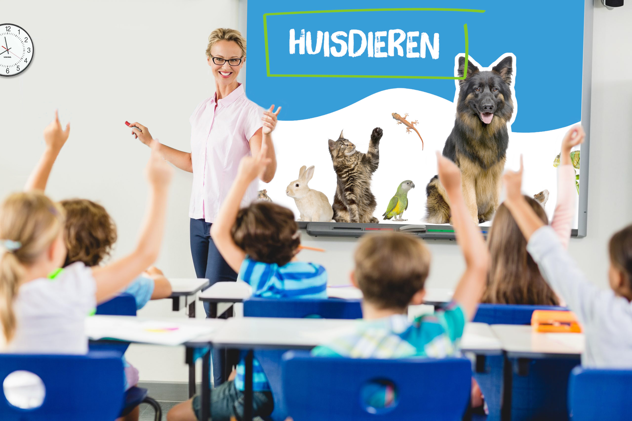Lespakket huisdieren voor basisonderwijs