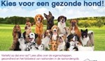 Plaats de advertentie in jouw blad of uitgave