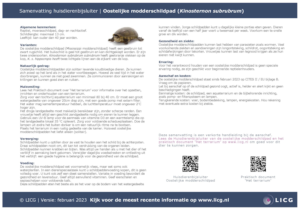 Oostelijke modderschildpad samenvatting, 10 stuks