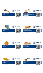 QR codes Aquariumdieren
