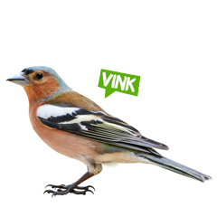 Spreekbeurt vink