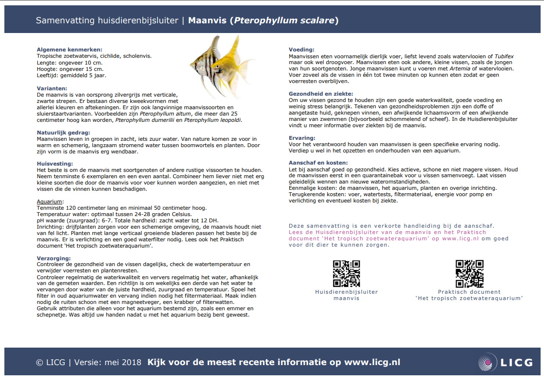 Maanvis samenvatting, 10 stuks