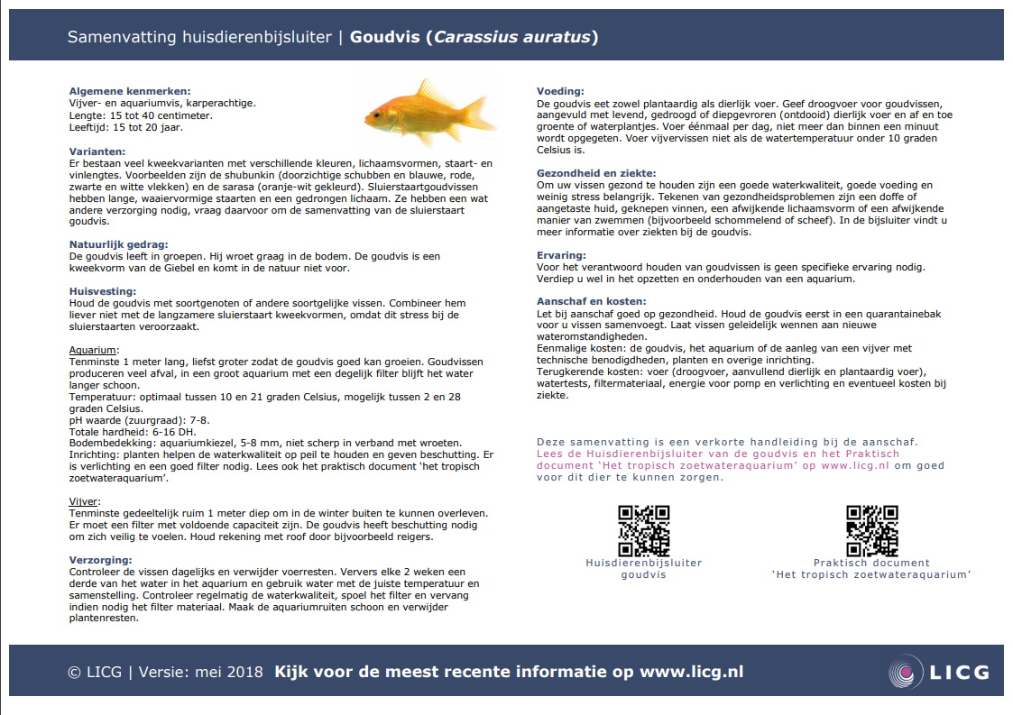 Goudvis samenvatting, 10 stuks