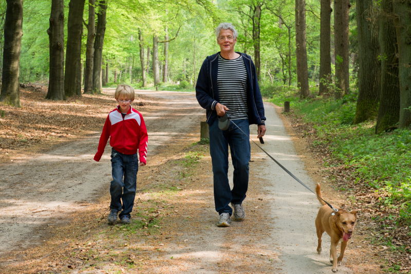 Wandelen met de hond, de do's en don'ts