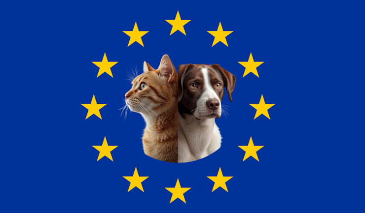 EU-regels over bescherming honden en katten