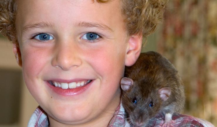 Kinderen en een ‘eigen’ huisdier