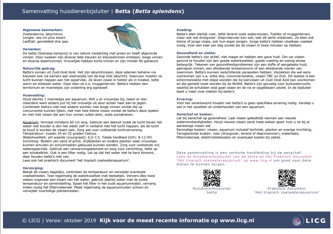 Betta samenvatting, 10 stuks