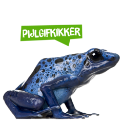 Spreekbeurt pijlgifkikker