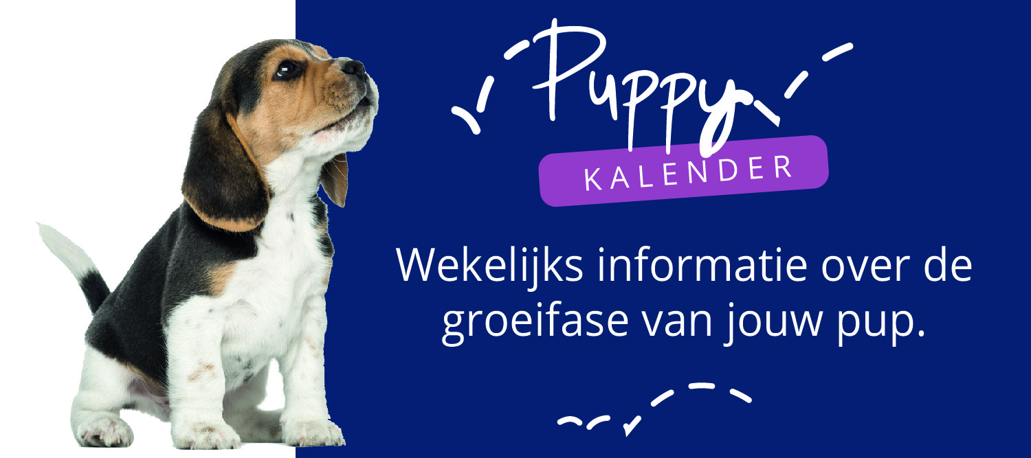 Schrijf je in!