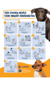 Poster Tien Gouden Regels