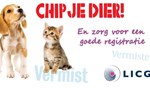 Download banners en beeldmateriaal van de Chipmaand